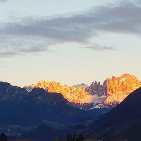 Domus Rose Rooms Bozen Buitenkant foto