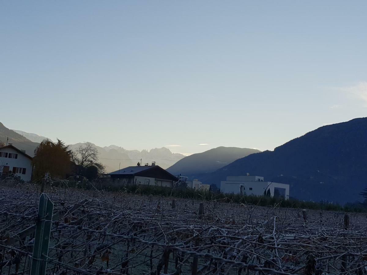 Domus Rose Rooms Bozen Buitenkant foto