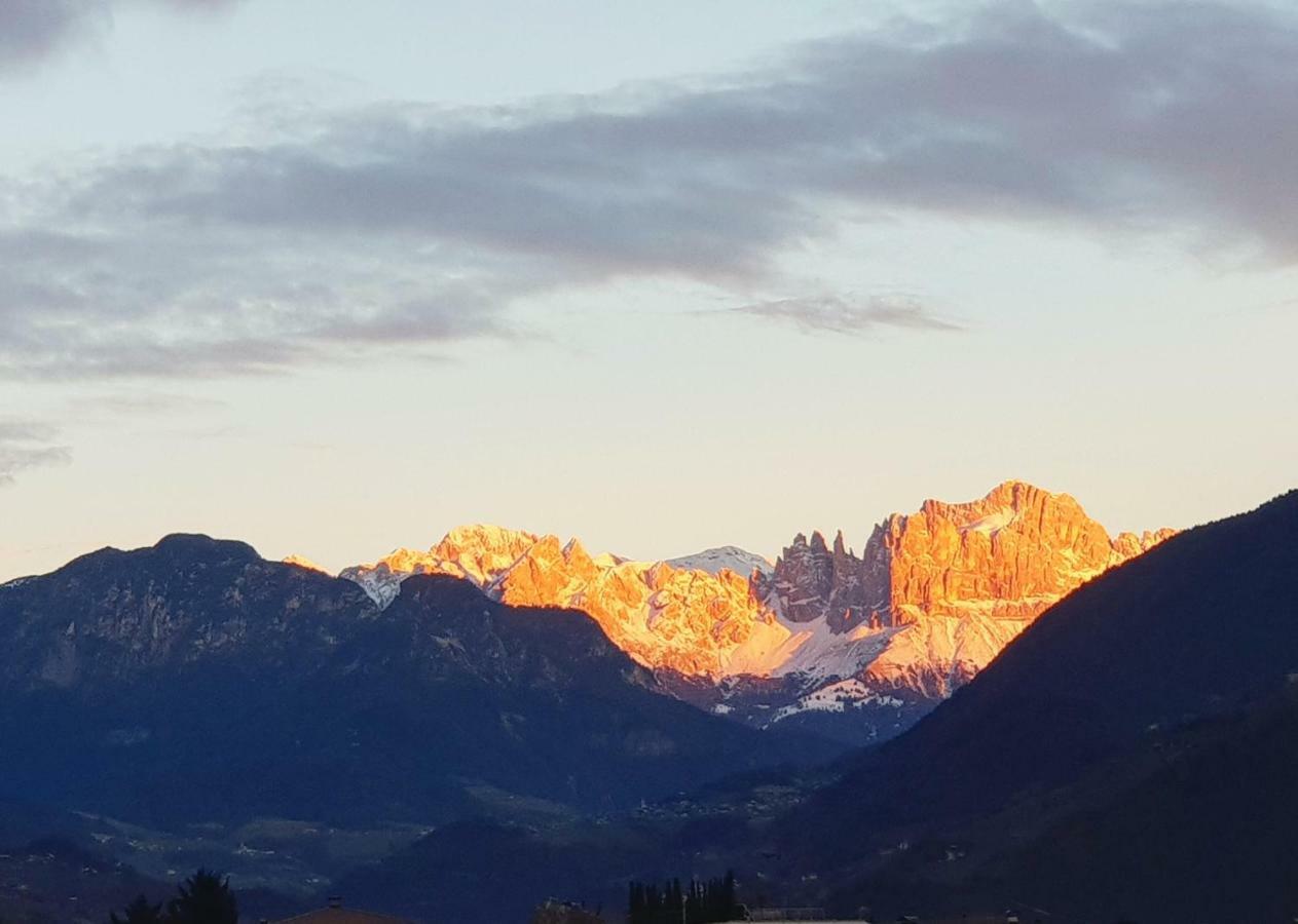 Domus Rose Rooms Bozen Buitenkant foto