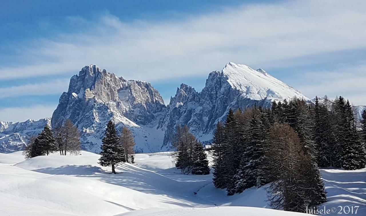 Domus Rose Rooms Bozen Buitenkant foto