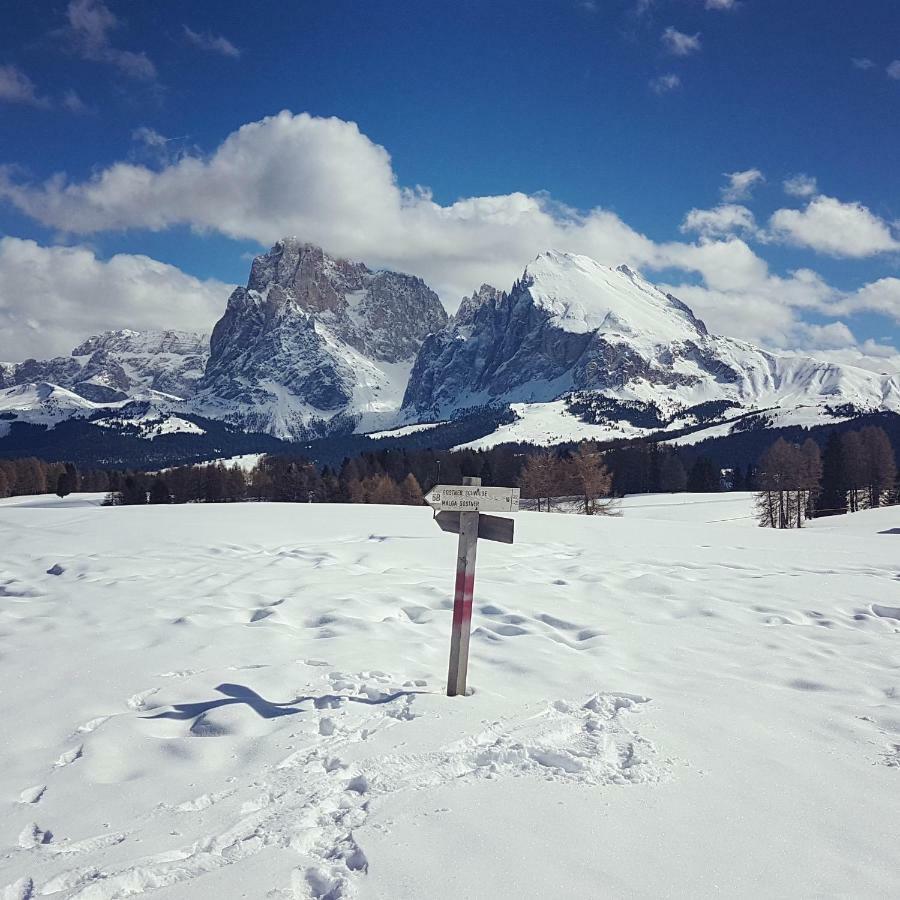 Domus Rose Rooms Bozen Buitenkant foto