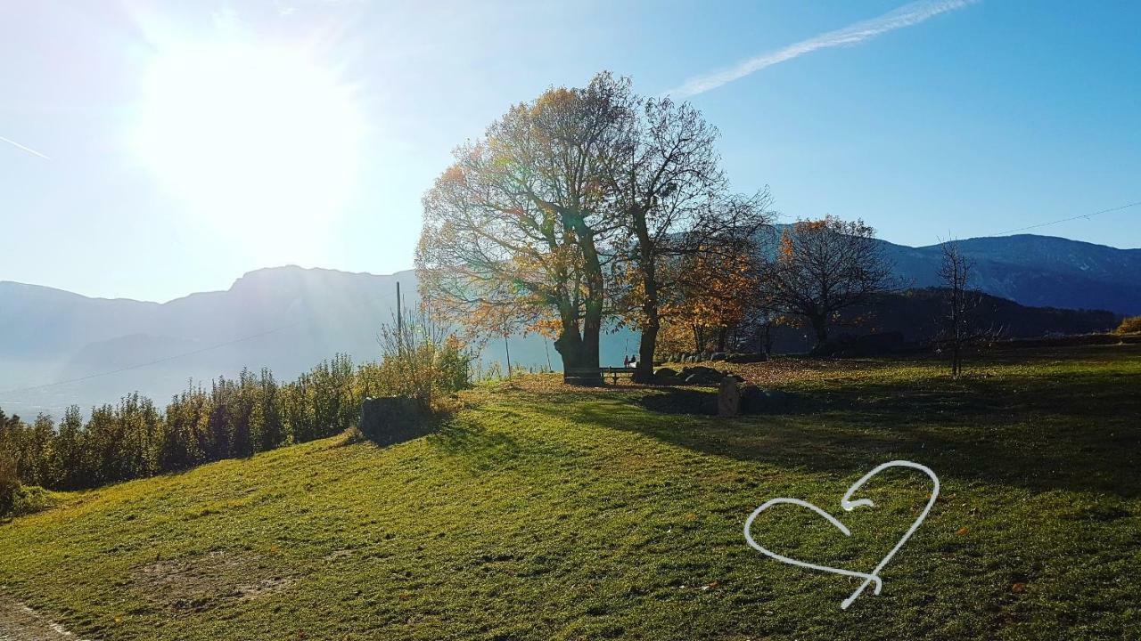 Domus Rose Rooms Bozen Buitenkant foto