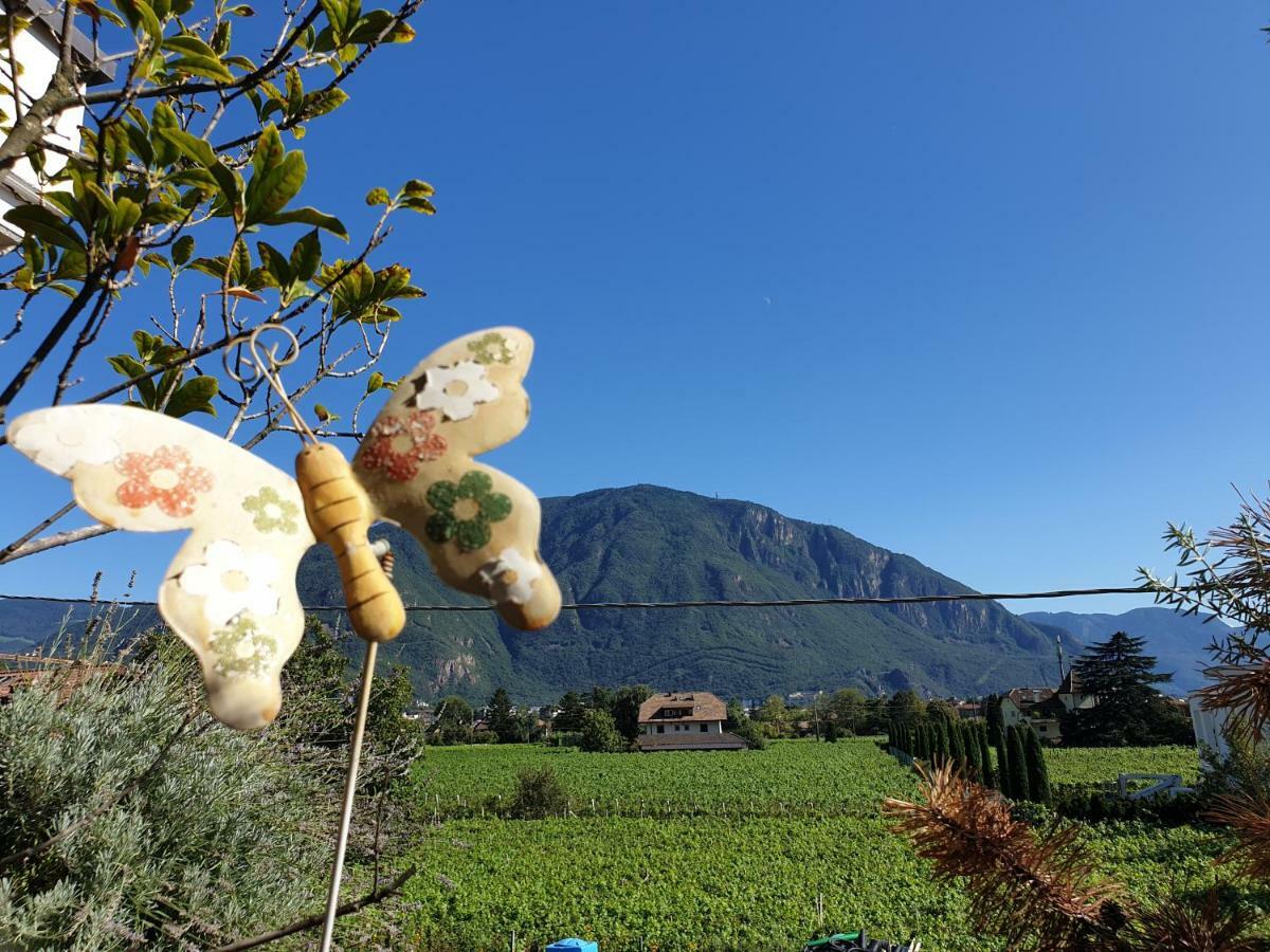 Domus Rose Rooms Bozen Buitenkant foto