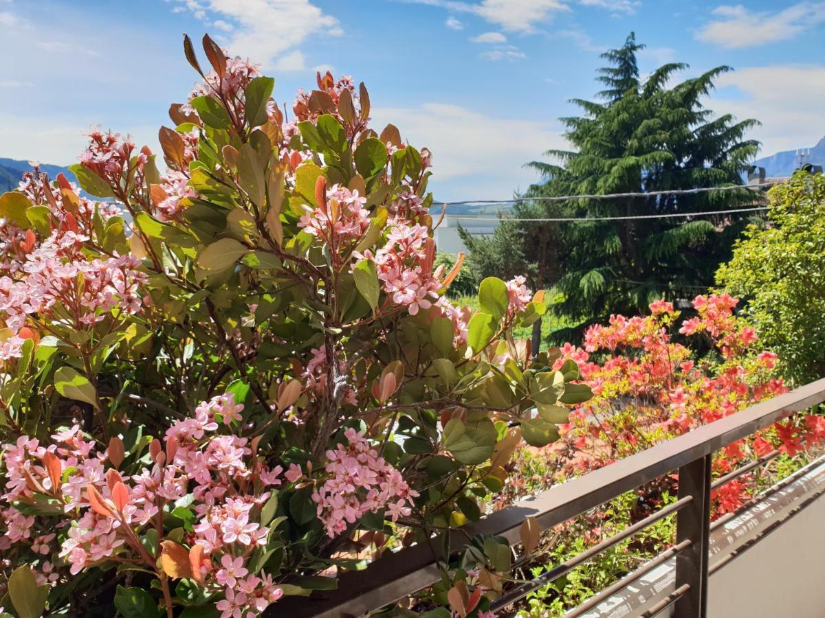 Domus Rose Rooms Bozen Buitenkant foto