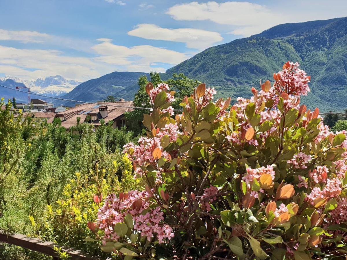 Domus Rose Rooms Bozen Buitenkant foto